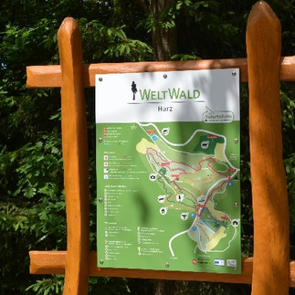 Infotafel im Weltwald Bad Grund